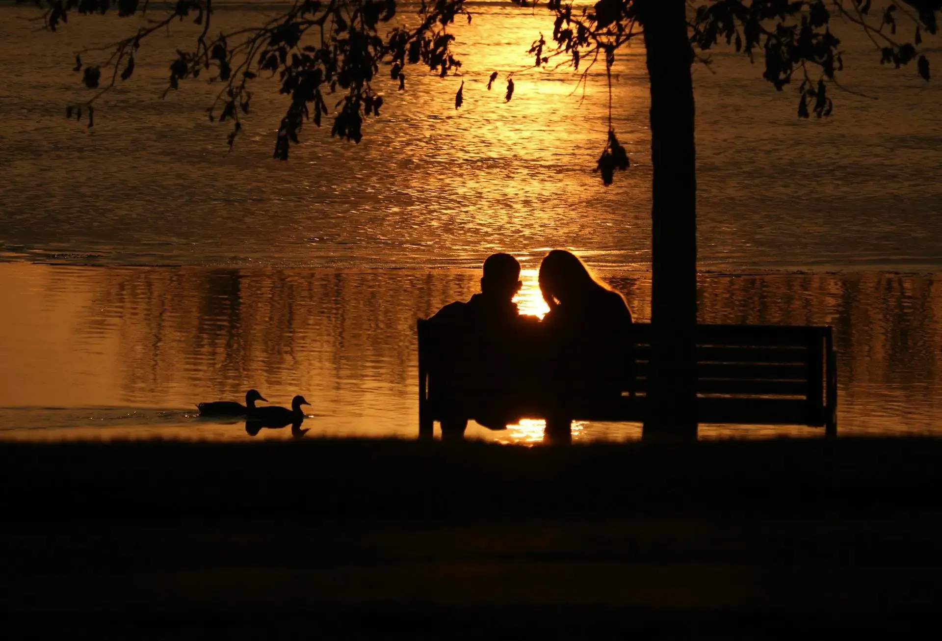 A couple sits closely on a bench, silhouetted against a vibrant sunset sky